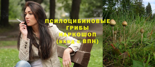 стаф Михайловка