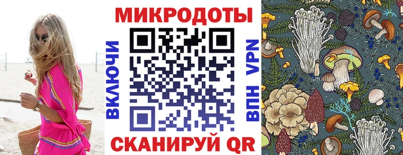 Псилоцибиновые грибы GOLDEN TEACHER  Торопец 